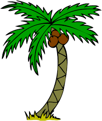 palm tree drawing